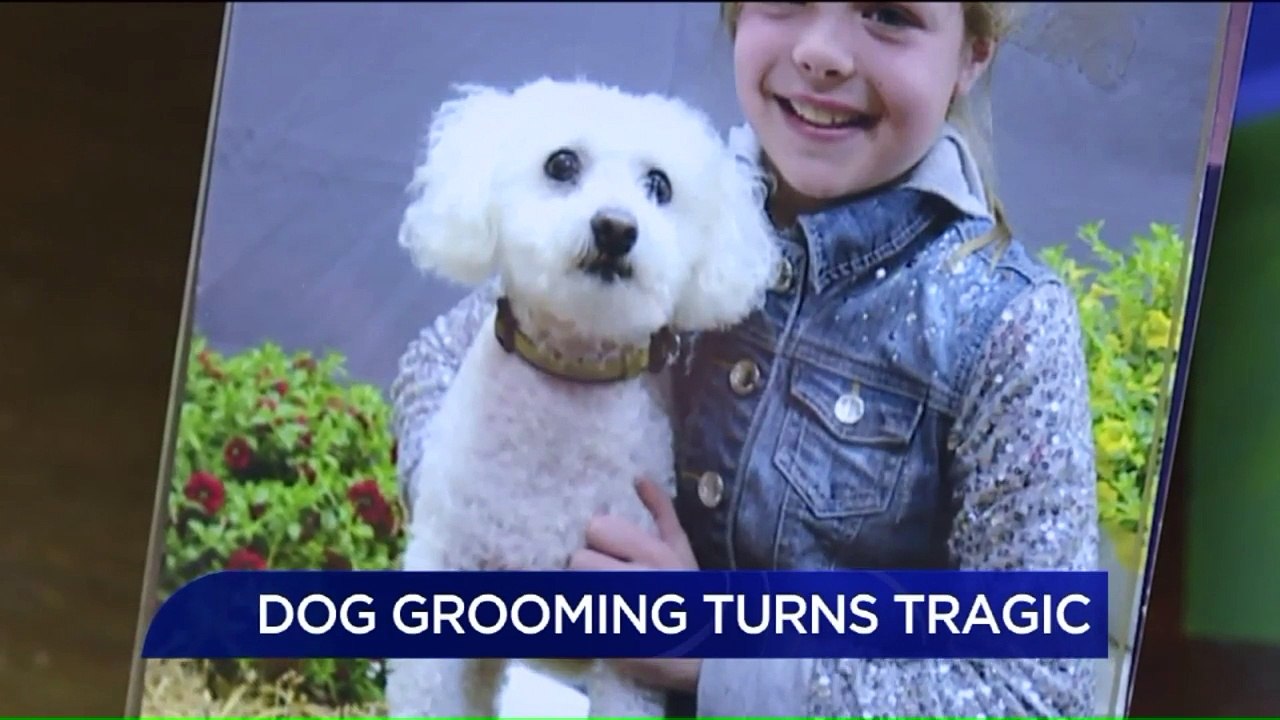 `He Was Bait`: Family Furious After Dog Mauled to Death at PetSmart