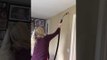 Irish Woman Hilariously Tries to Remove Spider From Kitchen