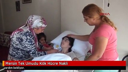 Mersin Tek Umudu Kök Hücre Nakli