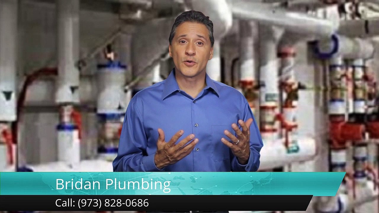 Best Plumbing Companies Clifton – Bridan Plumbing Outstanding Five Star Review