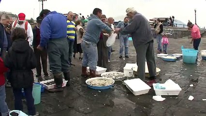 Napoli Travel  past-13
