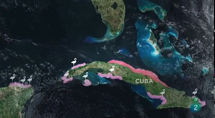 En el ojo del huracán 02: Configurando la naturaleza - Documental