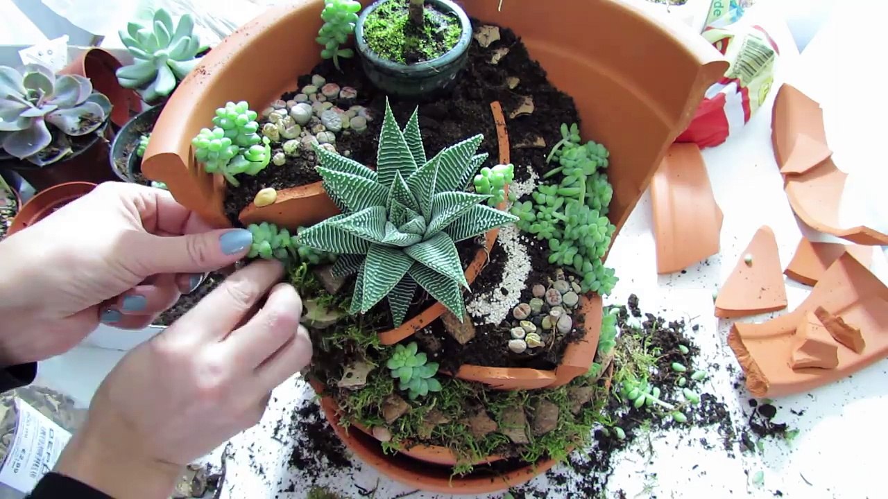 Fairy Garden #1 * DIY * Minigarten im Topf [eng sub]