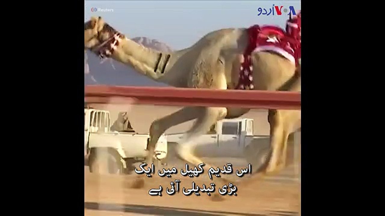 اب روبوٹ اونٹ دوڑائیں گے
