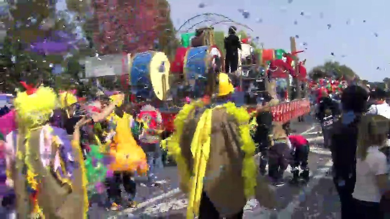 Le carnaval embrase Martigues