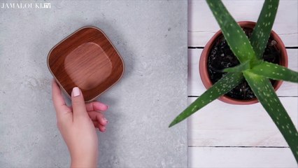 مكعّبات الألوي فيرا لشدّ العينين والقضاء على الهالات السوداء