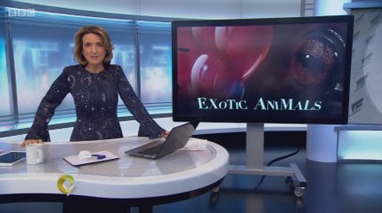 BBC2_Victoria Derbyshire 10Oct17 - exotic animals for children's parties