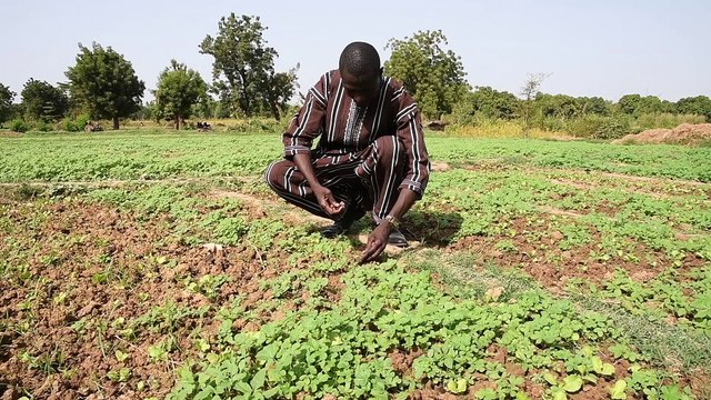 Pitch Start-up Kobenga / finaliste du POESAM