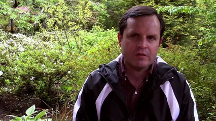 That Way Madness Lies... - Sandra Luckow - Trailer