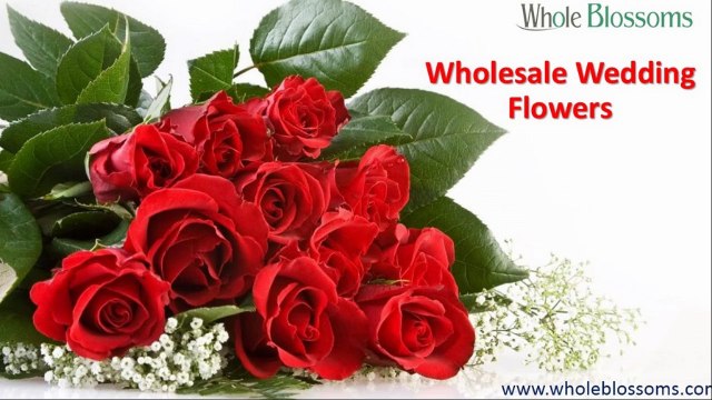 Wholesale Wedding Flowers - wholeblossoms.com