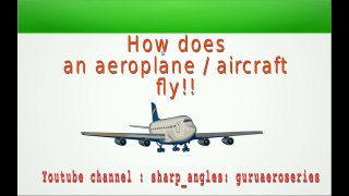 How does an Aircraft fly ? : Flight lift theory explained (The Aerodynamics of flight )