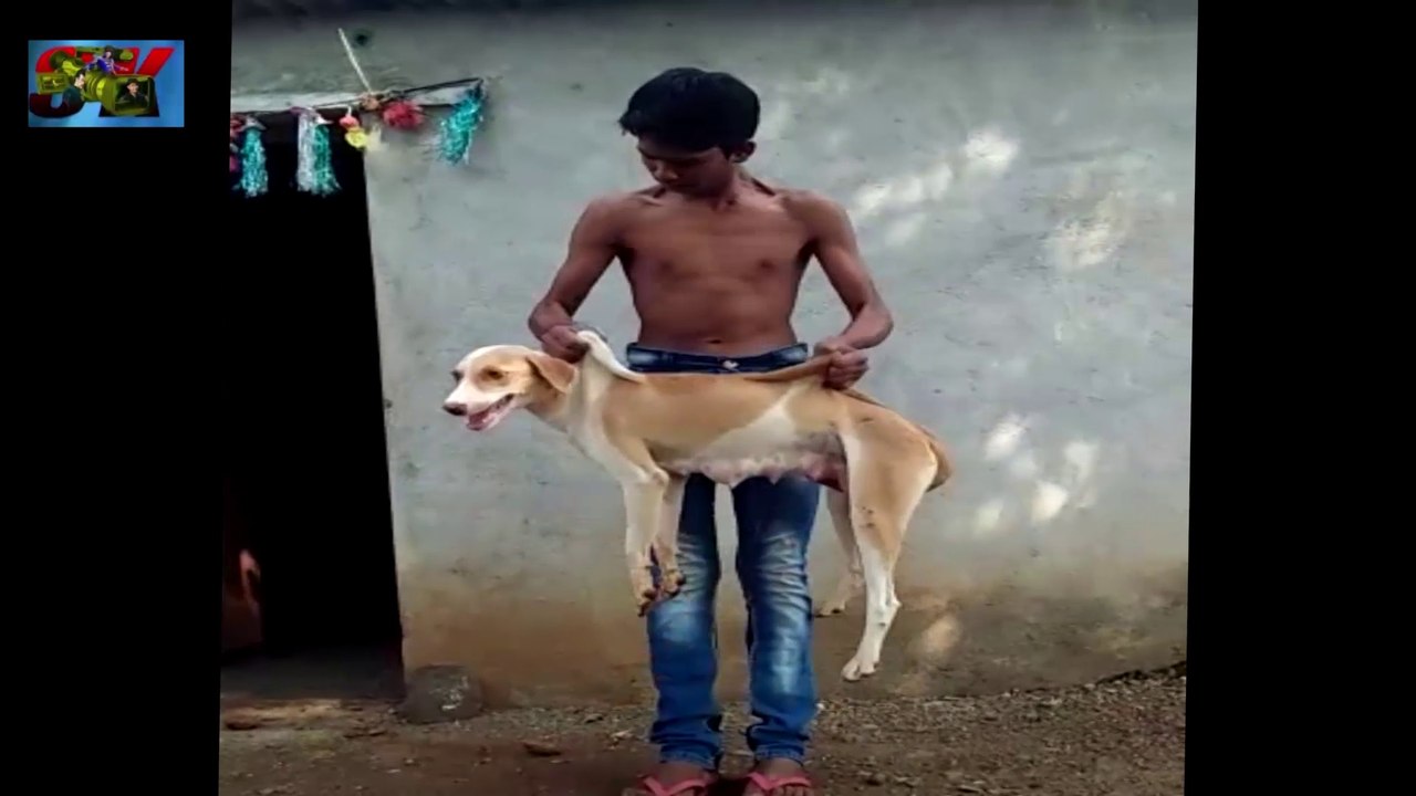 FULL ENTERTAINMENT FUNNY VIDEO