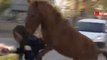 Anons Çeken Muhabir, Atın Saldırısına Uğradı! O Anlar Kamerada