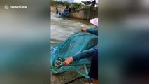 Fish are literally jumping into this elderly Thai woman's net