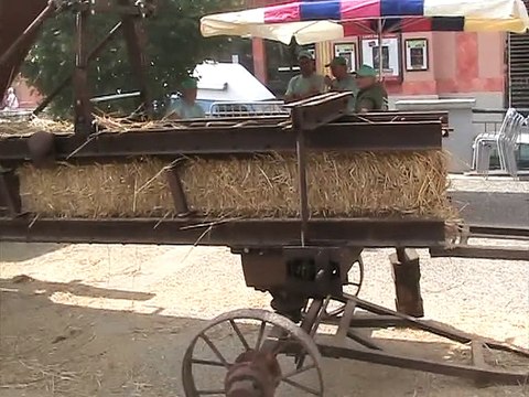 Lavelanet-Travaux agricoles (2)