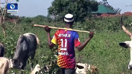 LATEST FROM THE FULANI HERDSMEN AFTER THE STATE BANNED THEM