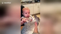 Baby's adorable reaction to meeting rabbit for the first time