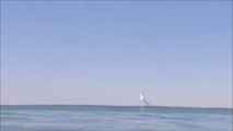 Ce surfeur filme le saut d'un grand requin blanc hors de l'eau... Incroyable