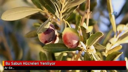 Bu Sabun Hücreleri Yeniliyor