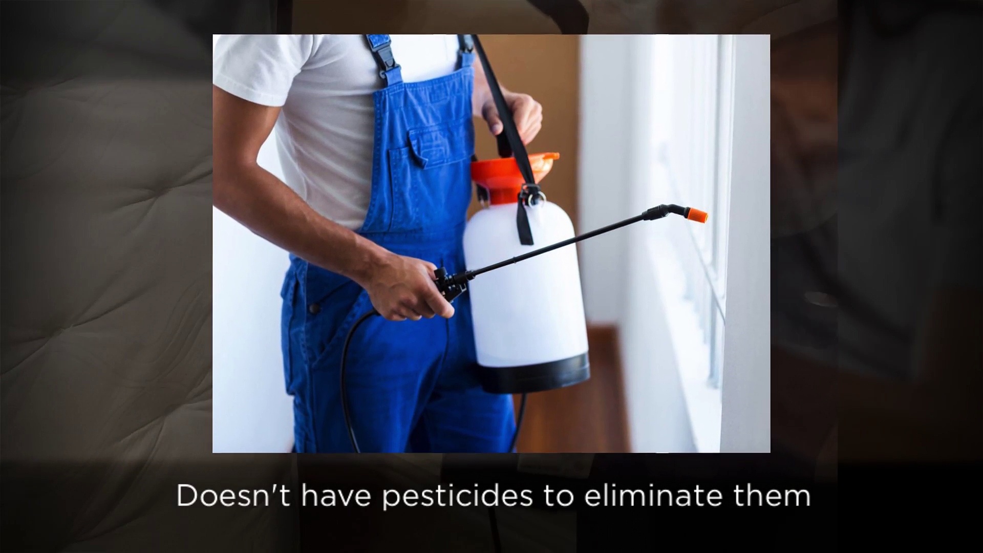 Bed Bug Exterminator San Diego