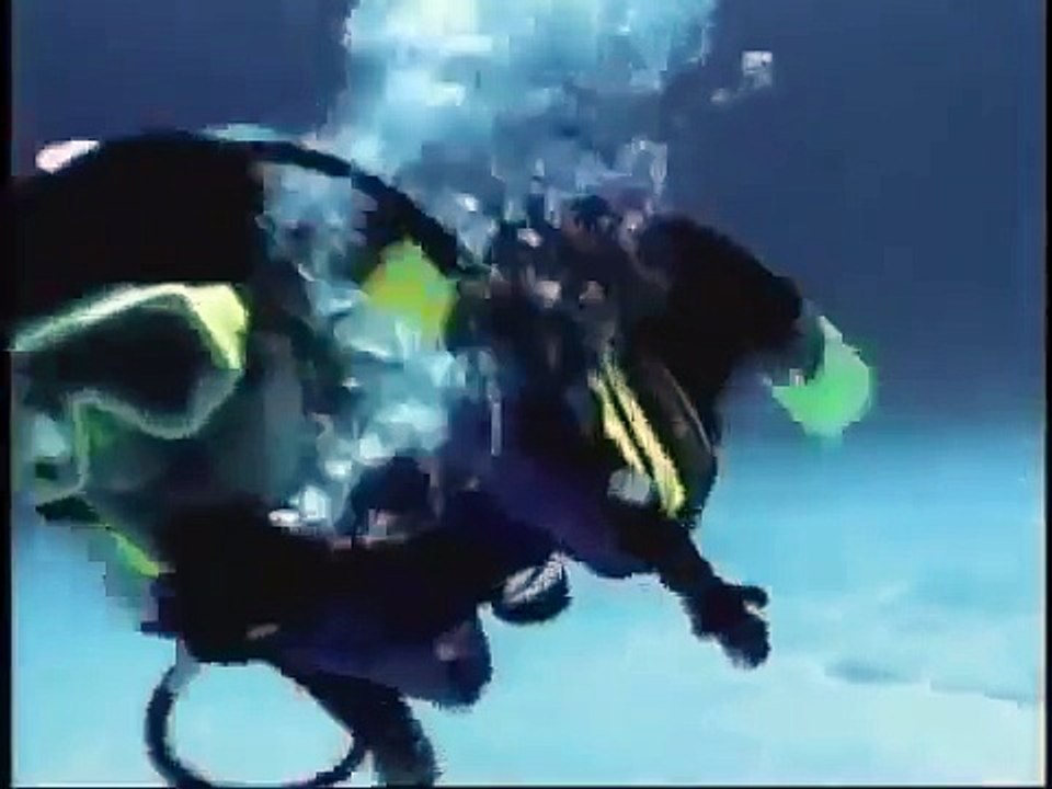 Kratts Creatures 13 - Weird Creatures