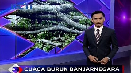 Pohon Beringin Raksasa Tumbang, 1 Orang Tewas