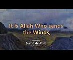 Surah Ar-Rum Verse 48-50  Raad Muhammad Al Kurdi  Quran Visualization