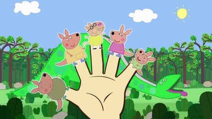Pepa Pig Kangaroo Finger Family Nursery Rhymes Lyrics and More