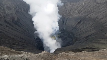 Bromo
