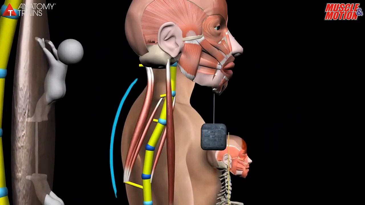 Common Postural Problems - Posture App