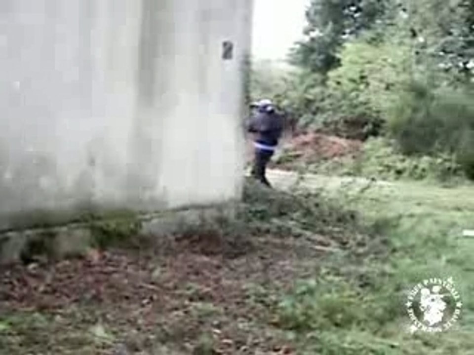 Tagadapaint