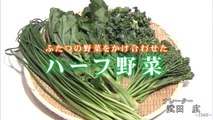 タモリ倶楽部 2017年4月28日 ★高画質 ハーフ野菜
