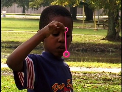 Your Baby Can Read Volume 01 Word Games