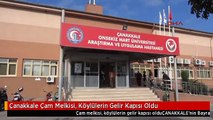 Çanakkale Çam Melkisi, Köylülerin Gelir Kapısı Oldu