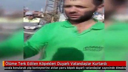 Ölüme Terk Edilen Köpekleri Duyarlı Vatandaşlar Kurtardı