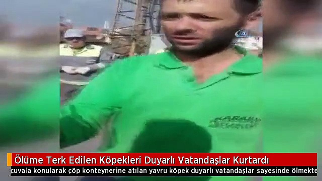 Ölüme Terk Edilen Köpekleri Duyarlı Vatandaşlar Kurtardı