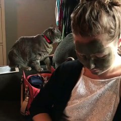 I Don’t Recognize You Anymore Cats Reaction So Funny