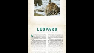 Read Wild (Photicular) PDF Book