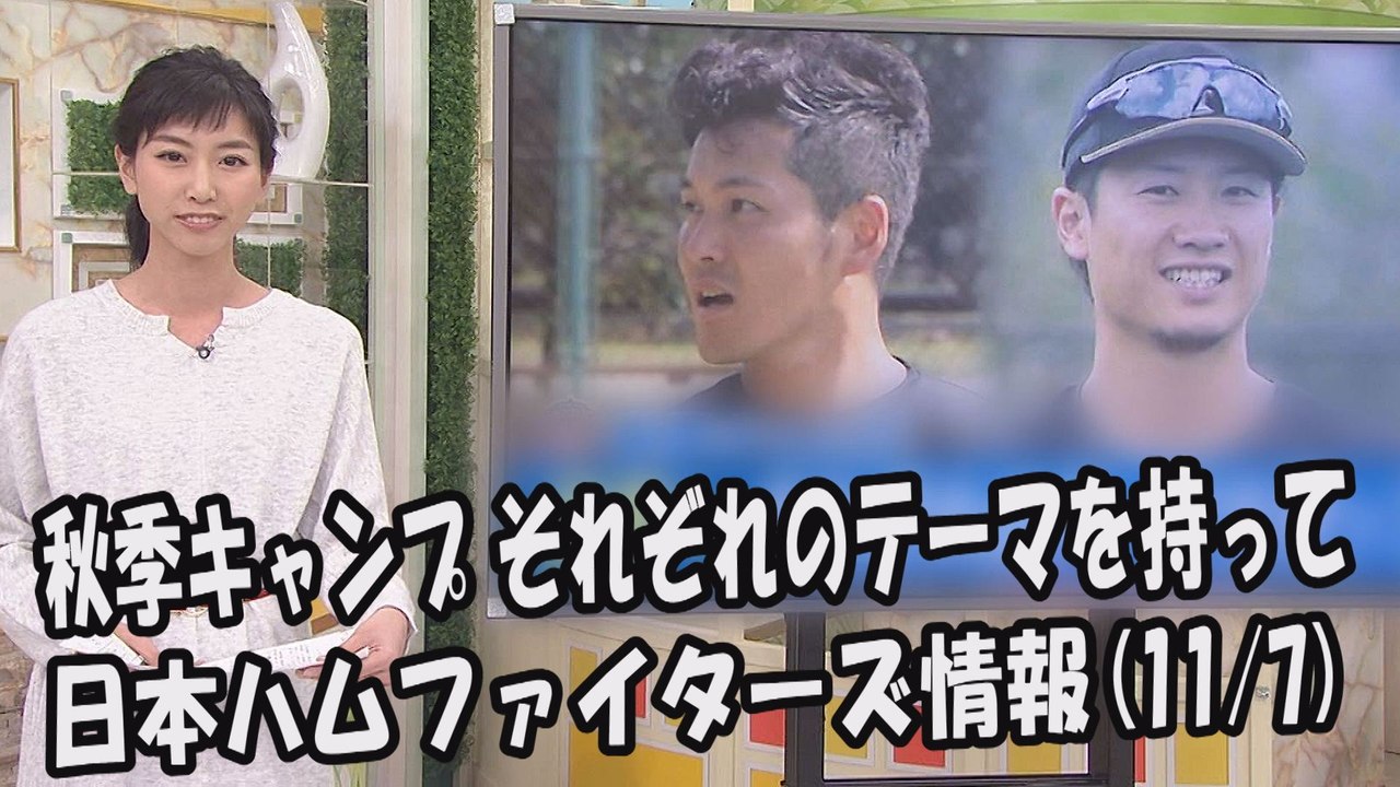 日本ハム 秋季キャンプ 来季へそれぞれのテーマを持って 2017.11.7 日本ハムファイター...