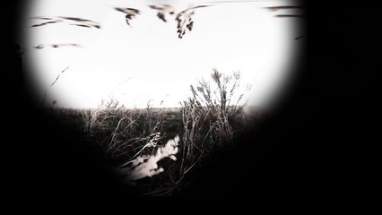 360° VR VIDEO - Wolf in point of View - Eye of Lupus - Howling Growling - POV - VIRTUAL REALITY 3D-WfXgKs1daJ4
