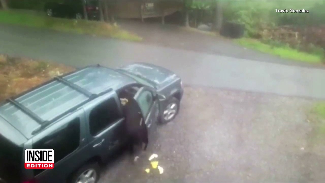 Bears Attack Man's Car After He and His Family Flee Hurricane Irma-9RHNl_xKcEI