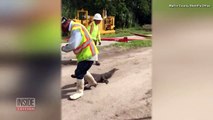 Construction Crew Finds 5-Foot-Long Alligator Clogging Drain Pipe-2FHu70SMEfM