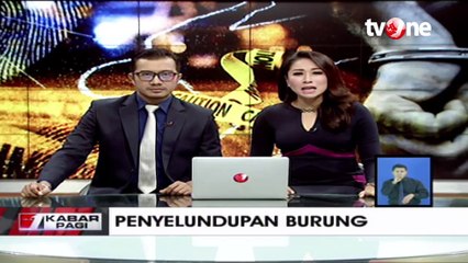 Petugas Gagalkan Ratusan Penyelundupan Burung Tanpa Dokumen Resmi