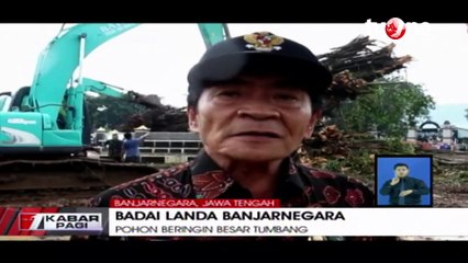 Satu Orang Tewas, Badai yang Melanda Banjar Negara Tumbangkan Pohon Besar