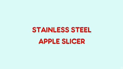 STAINLESS STEEL APPLE SLICER