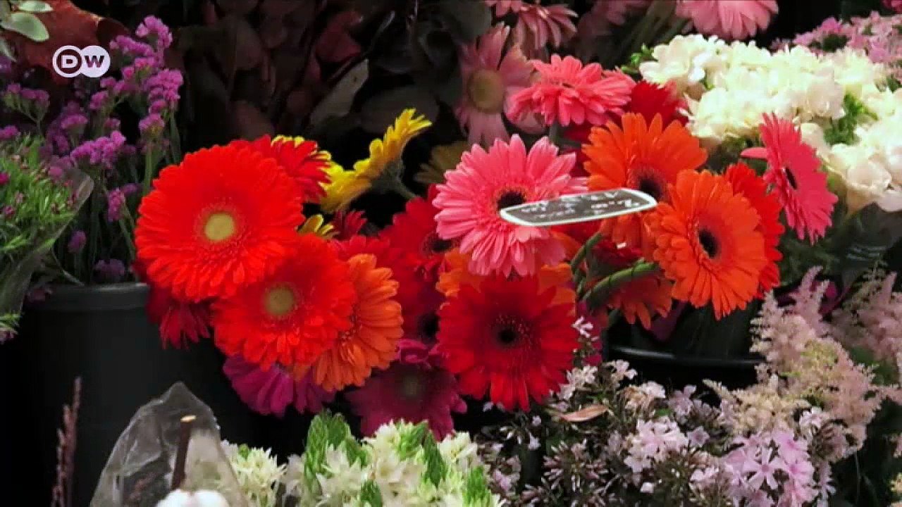 Trauma nach dem Terror vom Bataclan | DW Deutsch