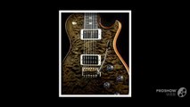 PRS Guitar