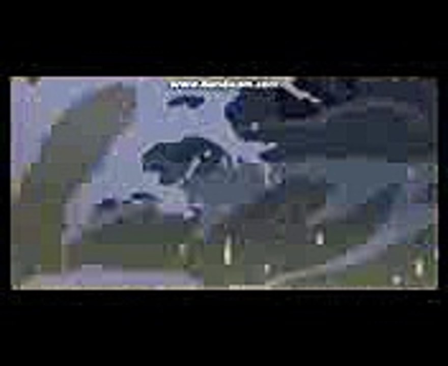 Brother Bear Denahi Thinks Kenai Was Killed