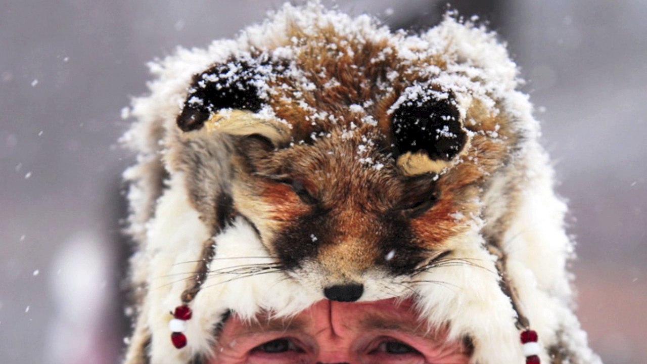 Teaser Camp Grand Nord Grande Odyssée SMB © Office de Tourisme de Pralognan