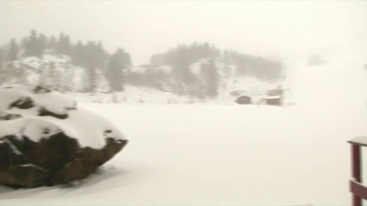 La neige est là ! 20 cm de neige sont tombés cette nuit aux Monts d'Olmes dans les Pyrénées